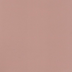 Шарли Pink